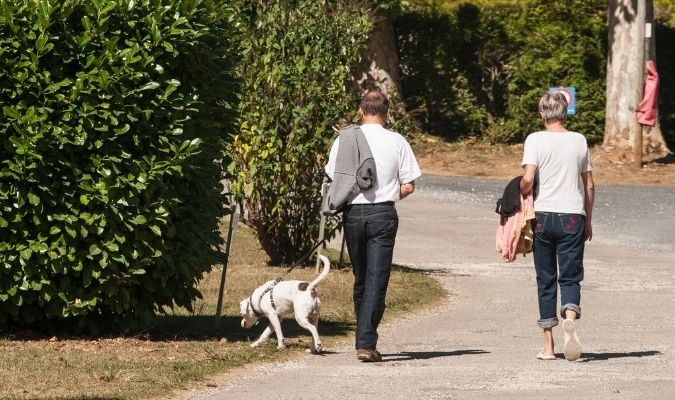 Camping qui accepte les chiens Périgord