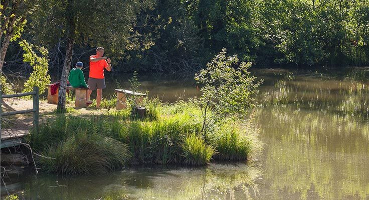 personne en train de pêcher dans l'étang du camping